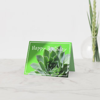 Carte Plante succulent vert clair sempervivum