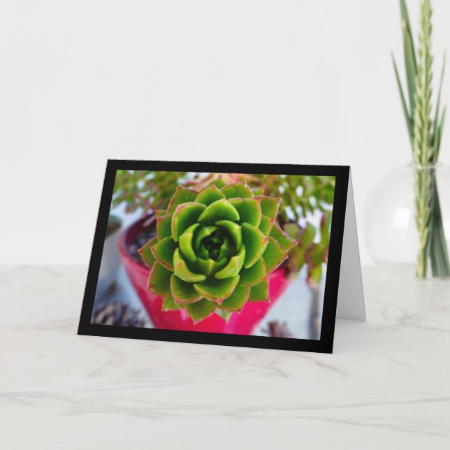 Carte Plante succulente Lipstick Echeveria (Devant)