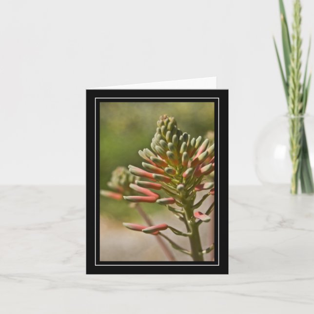Carte Plante Tropical (Devant)