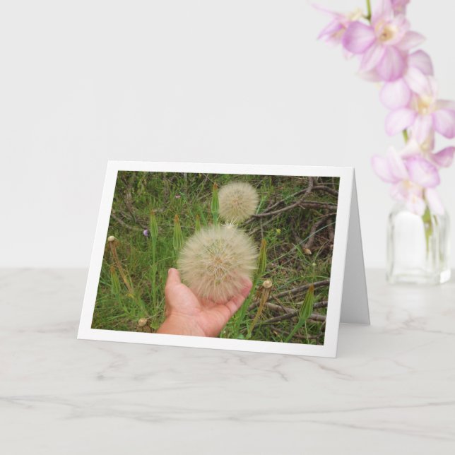 Carte Plante Western Salsify (Orchidée)