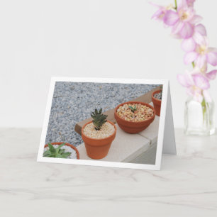 Carte Plantes grasses sur le mur du jardin Portrait