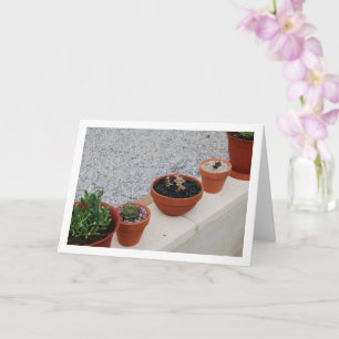 Carte Plantes grasses sur portrait de mur de jardin