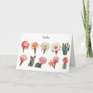 Carte Plantes succulents florissants