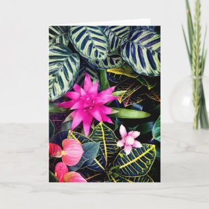 Carte Plantes tropicaux