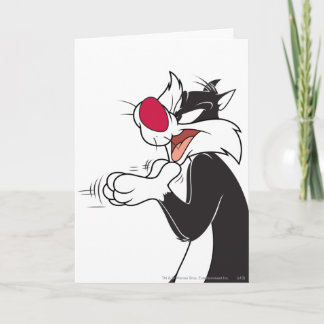 Carte Plaques de frottement SYLVESTER™