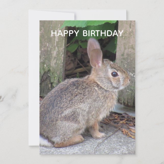 Carte Plat Anniversaire de lapin mignonne (Devant)