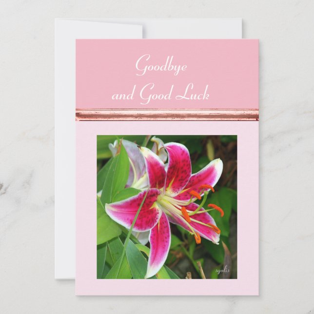 Carte plat au revoir et à la chance (Devant)