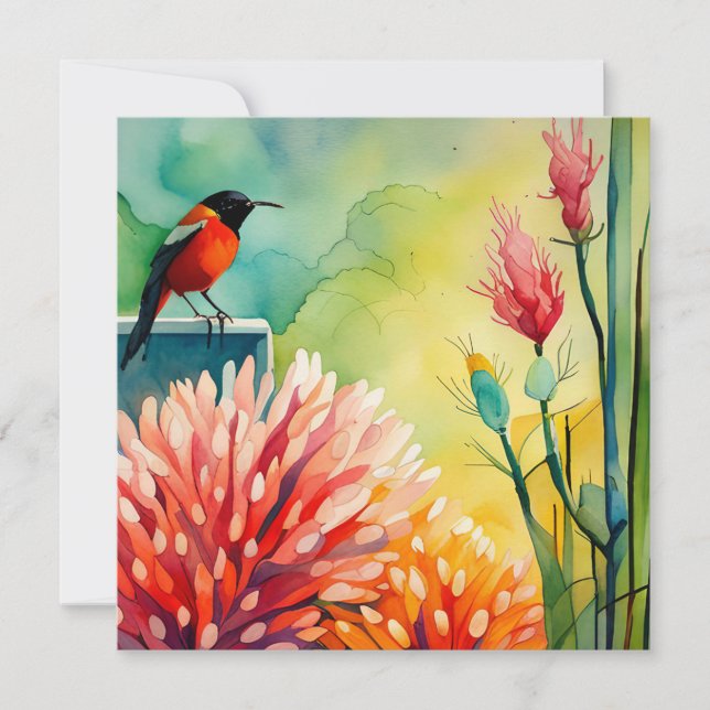 Carte Plat du Jardin des colibris (Devant)