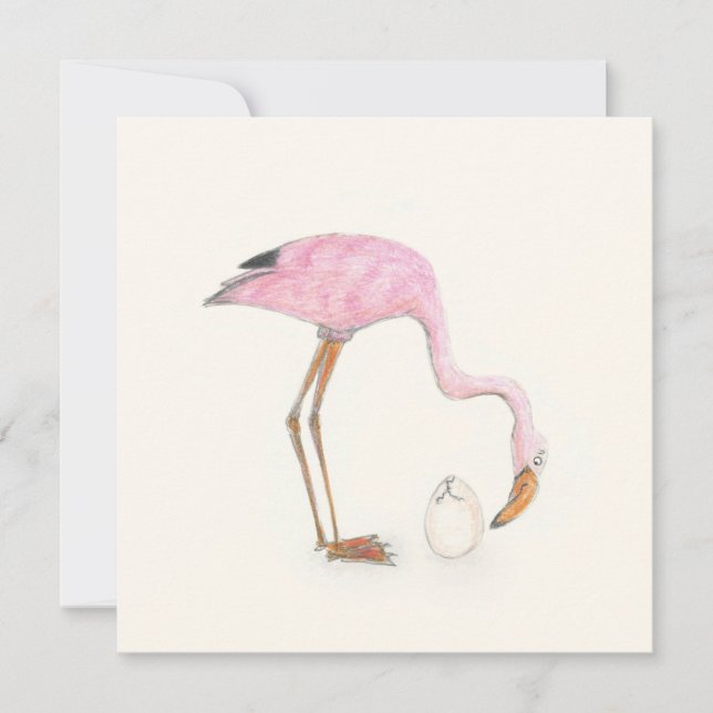 carte plat Flamant rose (Devant)