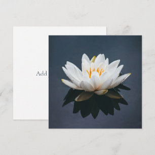 CARTE PLAT : LOTUS