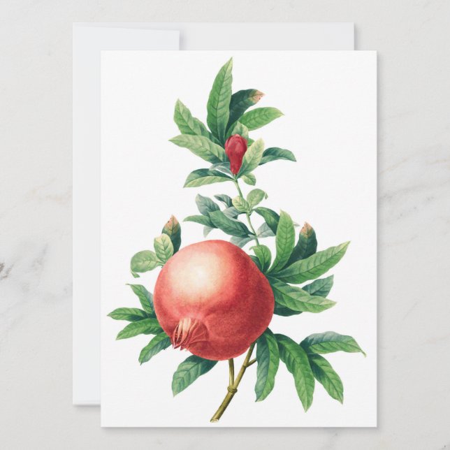 Carte Plat Motif Garnet (Devant)