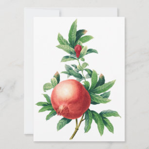 Carte Plat Motif Garnet