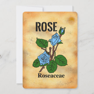 Carte plate à motif de rose bleue sur fond de papi