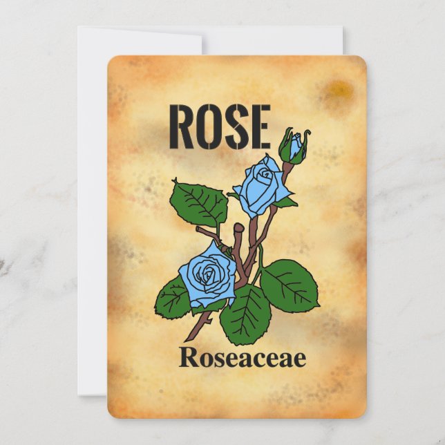 Carte plate à motif de rose bleue sur fond de papi (Devant)