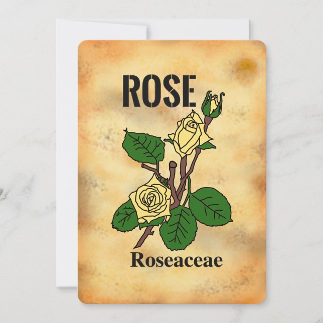 Carte plate à motif de rose jaune dans le style de (Devant)