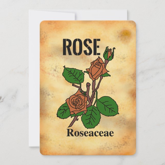Carte plate à motif de rose orange dans le style d (Devant)