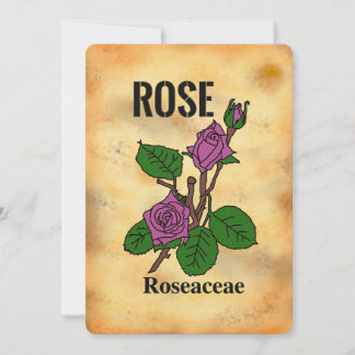 Carte plate à motif de rose rose en style de papie