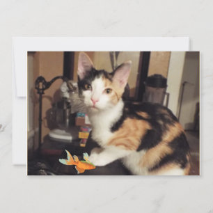 Carte plate Chat Calico avec Poisson Cadeau pour V