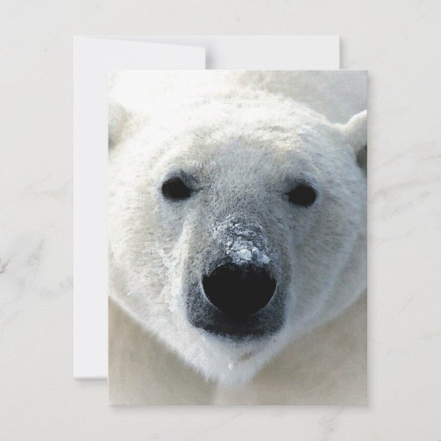 Carte plate de ours polaire (Devant)