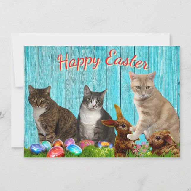 Carte plate de Pâques - Chats et Lapins (Devant)