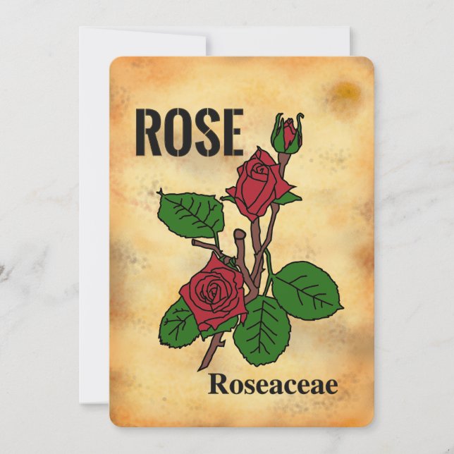 Carte plate de style papier vieilli rose rouge en  (Devant)