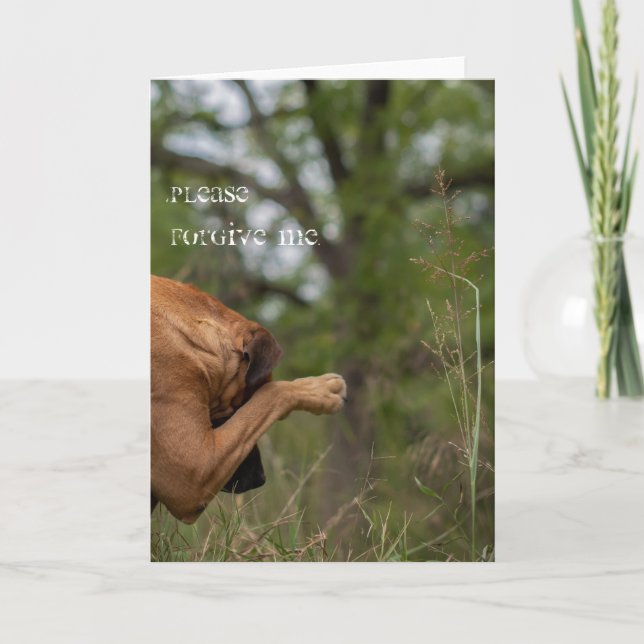 Carte Please forgive me card (Devant)