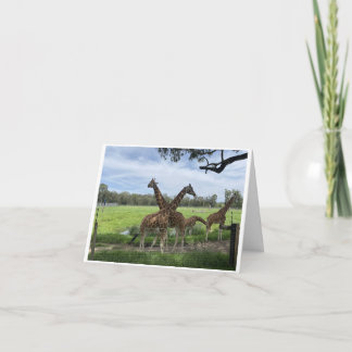 Carte pliante - Carte d'amour Giraffe