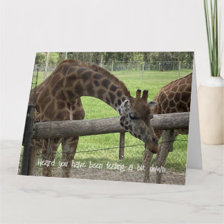 Carte pliante - Giraffe Get Well Card
