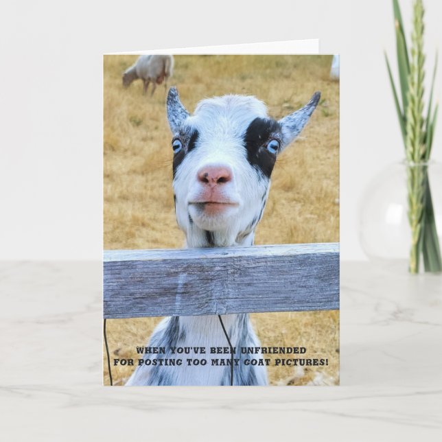 Carte pliée 5 pouces x 7 pouces || Chèvre sans ami (Devant)