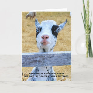 Carte pliée 5 pouces x 7 pouces Chèvre sans ami
