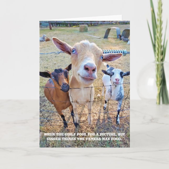 Carte pliée 5 pouces x 7 pouces || Concentration a (Devant)