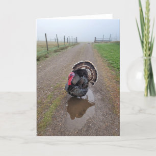 Carte pliée 5 pouces x 7 pouces La Turquie dans