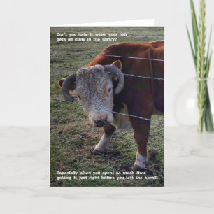 Carte pliée 5 pouces x 7 pouces    Popeye Morning