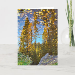 Carte pliée 5 pouces x 7 pouces    Puddle Mountain