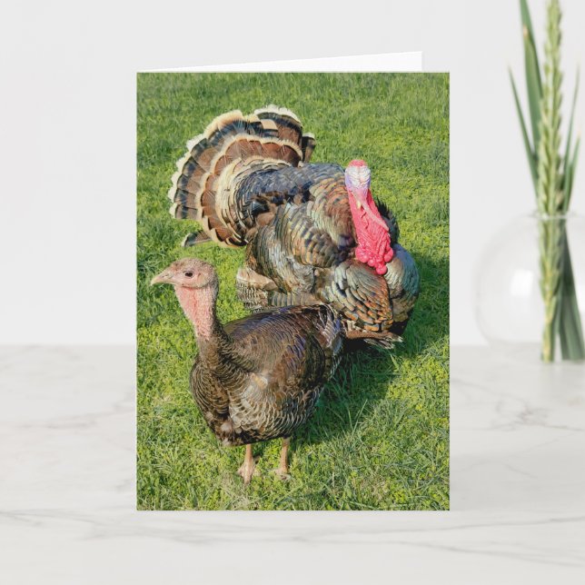 Carte pliée 5 pouces x 7 pouces || Thomas & Henrie (Devant)