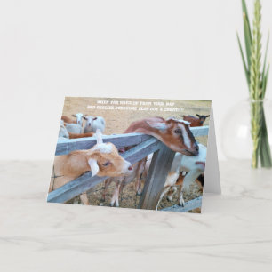 Carte pliée 7 pouces x 5 pouces    Hey-Hay ! Où es