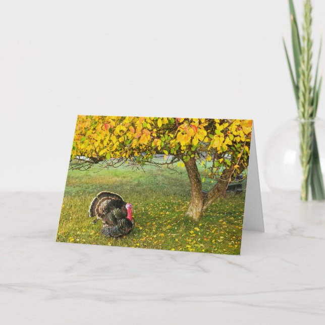 Carte pliée 7 pouces x 5 pouces || La Turquie sous (Devant)