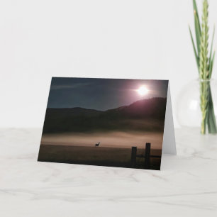 Carte pliée 7 pouces x 5 pouces    Moon Deer