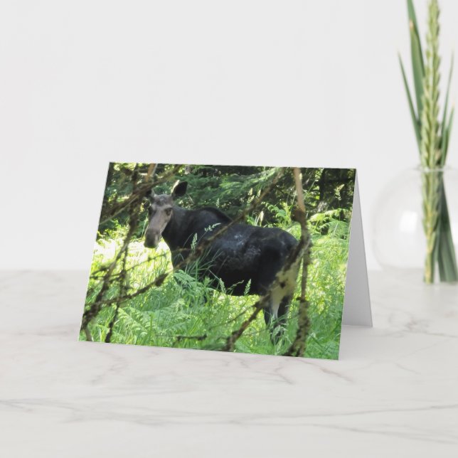 Carte pliée 7 pouces x 5 pouces || Moose Lunch (Devant)