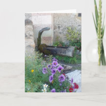 Carte pliée avec fontaine et fleurs alpines
