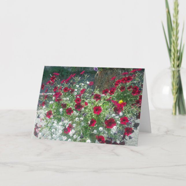 Carte pliée avec Pétunias alpines (Devant)