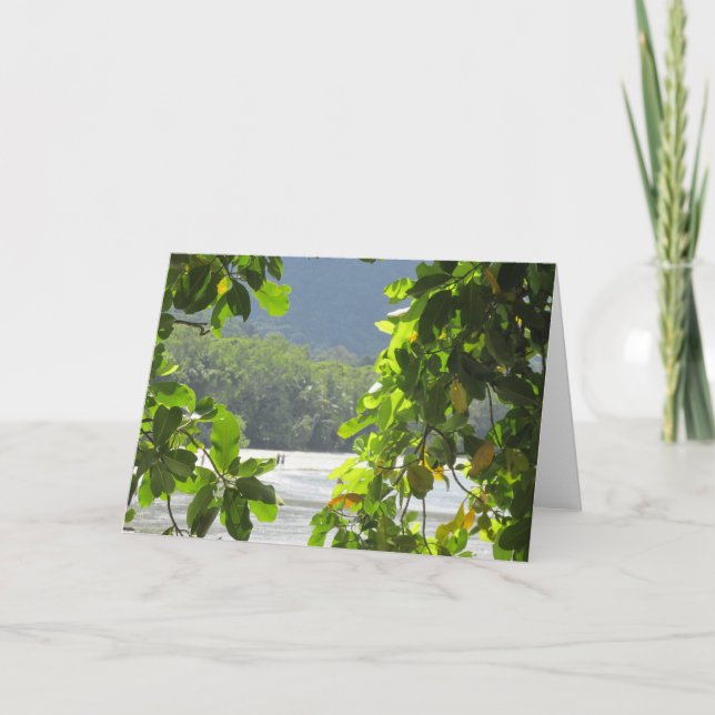 Carte pliée du Cap Tribulation (Devant)