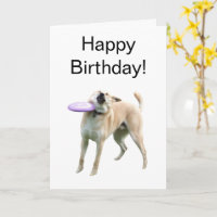 Carte pliée Frisbee Dog Meme