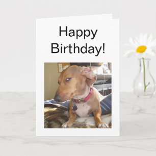 Carte pliée Mème de chien oeil côté oeil