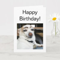Carte pliée Mème de chien sourcil