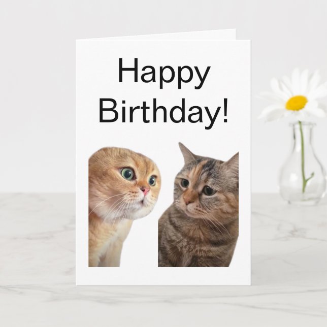 Carte pliée Talking Cats Meme (Petite plante)