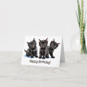 Carte pliée Trio de chatons noirs