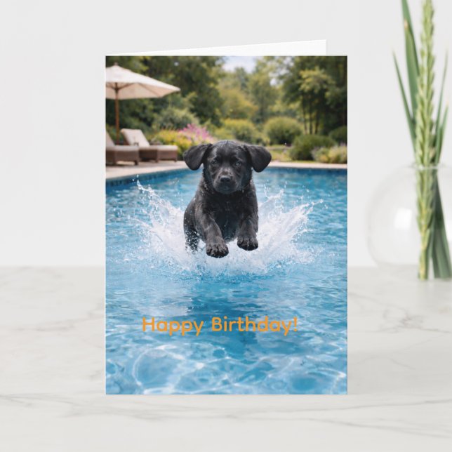 Carte Plongeon dans la piscine pour un chiot Labrador no (Devant)
