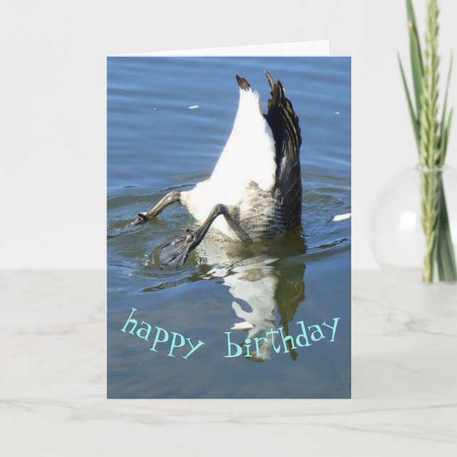 Carte Plongeon oie Anniversaire (Devant)