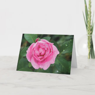 Carte Pludrops roses